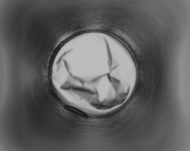 X0000086801308200705111827