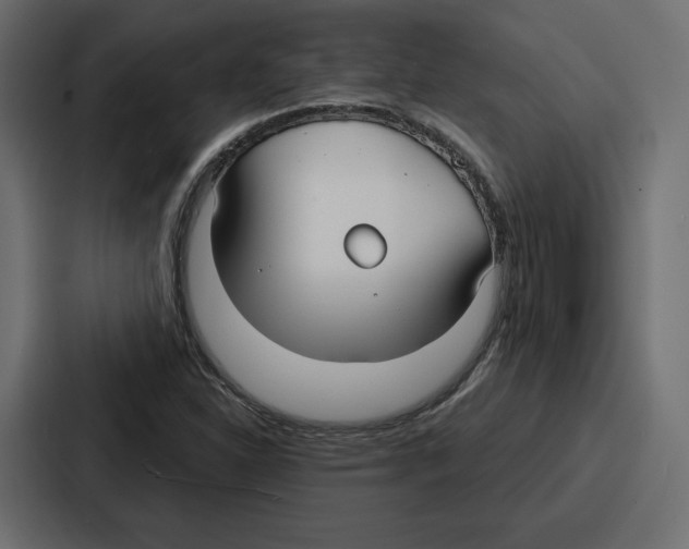 X0000086801310200705111827