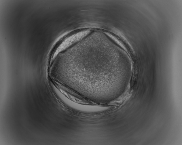 X0000086801312200705111827