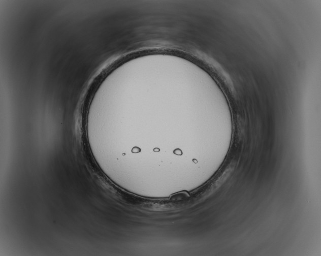 X0000086801318200705111827