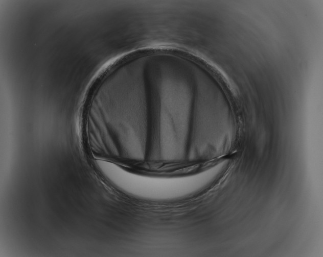 X0000086801319200705111827