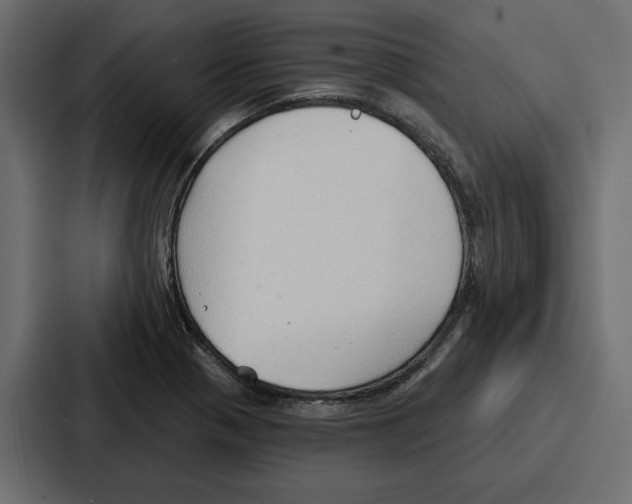 X0000086801321200705111827