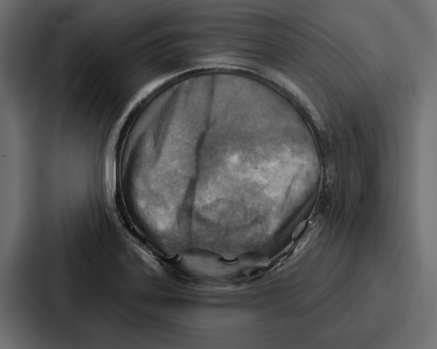 X0000086801323200705111827