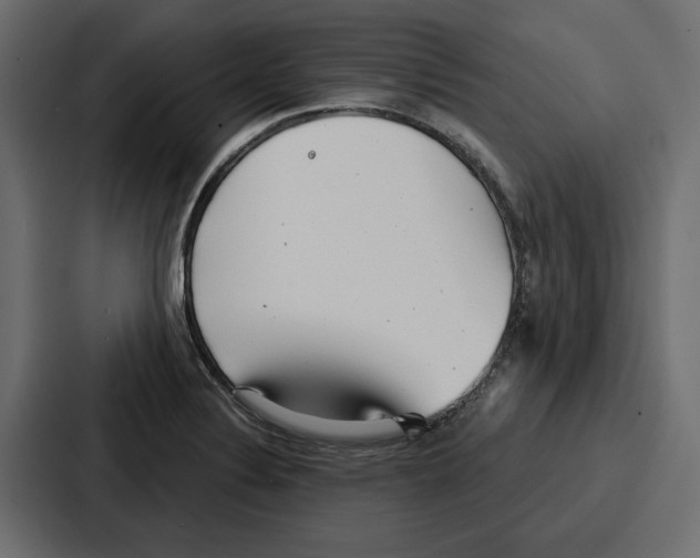 X0000086801324200705111827