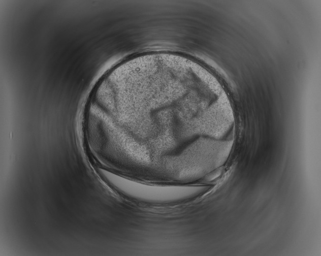 X0000086801325200705111827