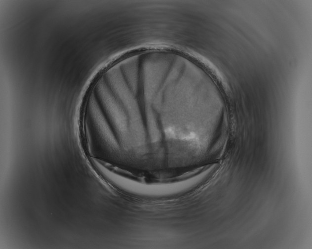 X0000086801327200705111827