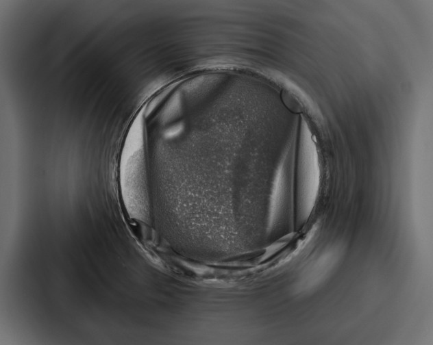 X0000086801329200705111827