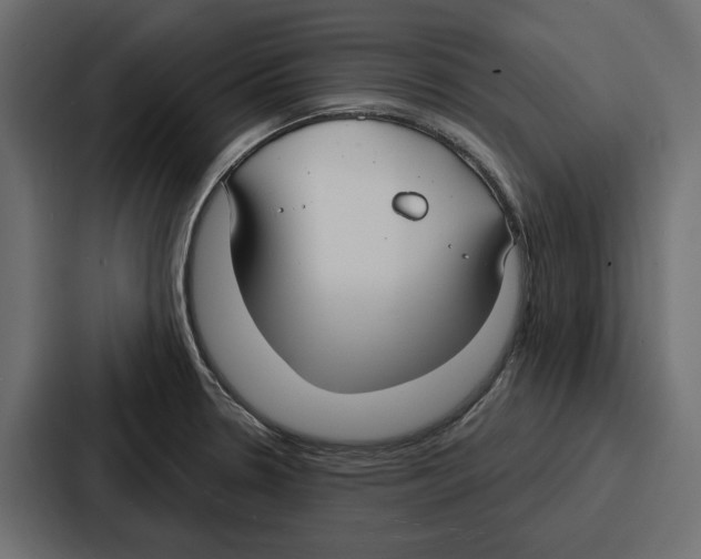 X0000086801330200705111827