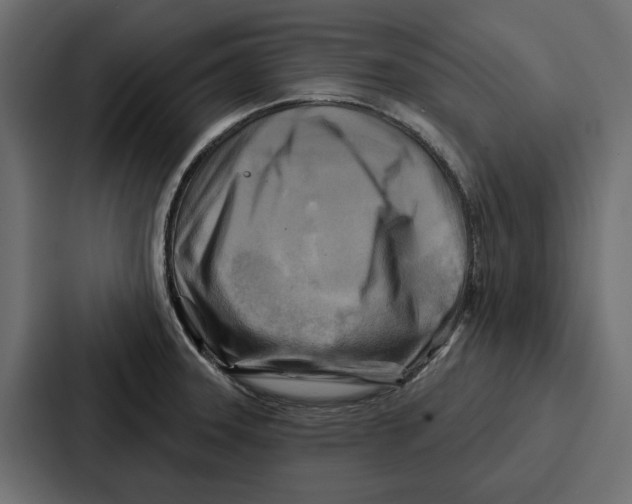 X0000086801331200705111827