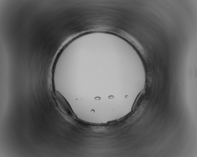 X0000086801332200705111827