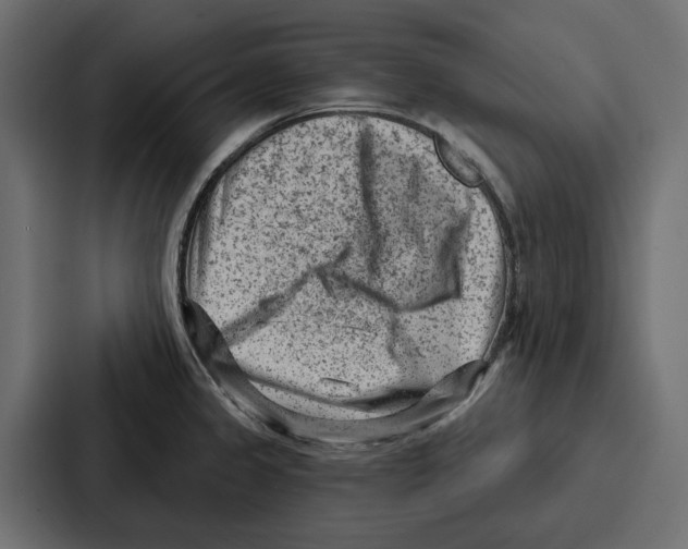 X0000086801333200705111827