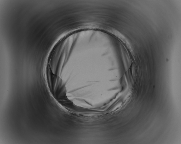 X0000086801334200705111827