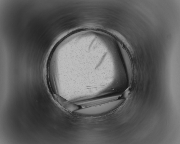 X0000086801335200705111827