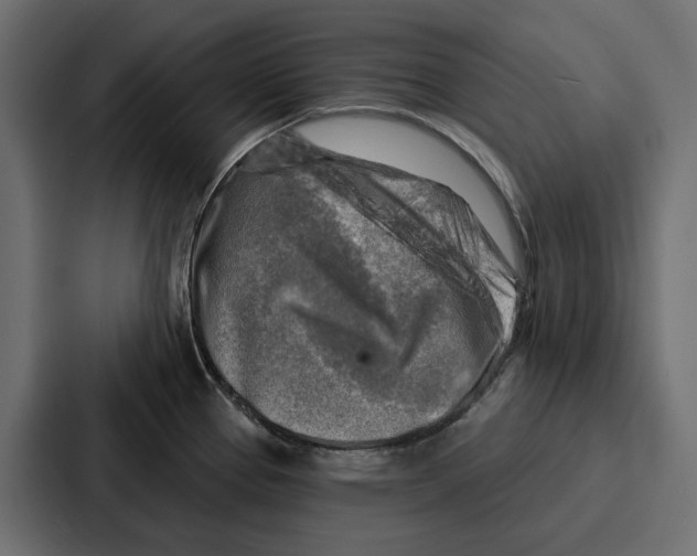 X0000086801337200705111827