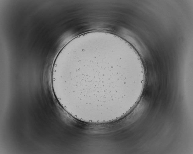 X0000086801338200705111827