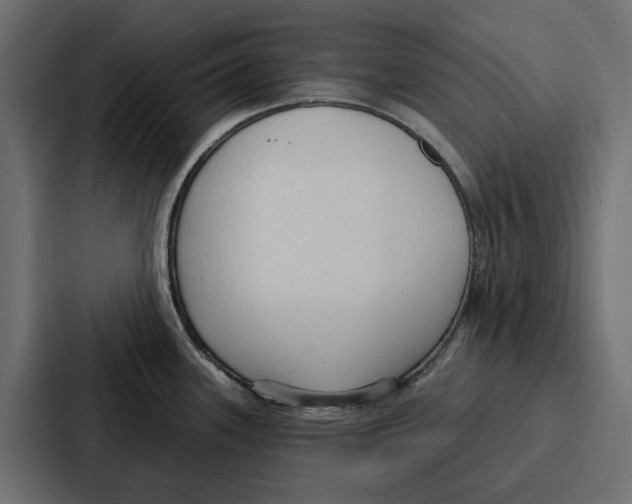 X0000086801339200705111827