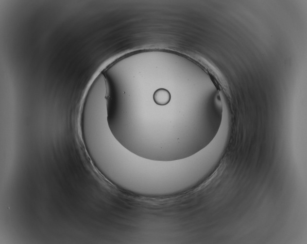 X0000086801340200705111827