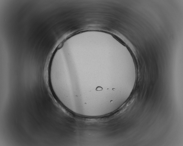 X0000086801341200705111827