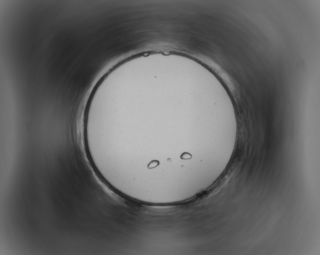 X0000086801343200705111828