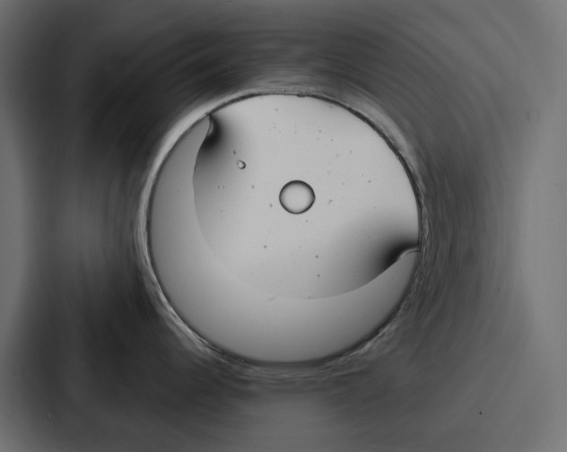 X0000086801344200705111828