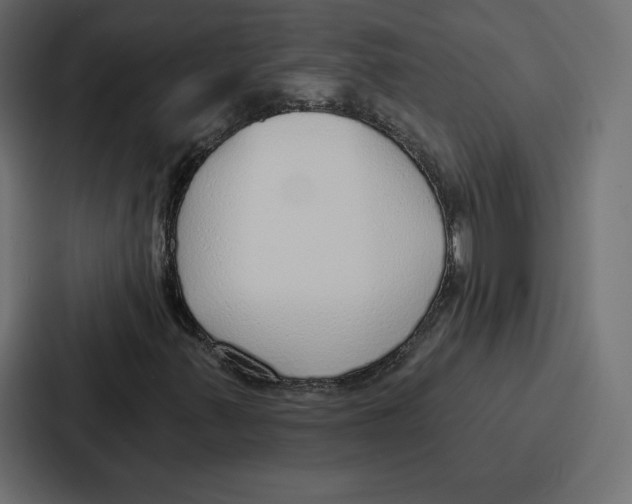 X0000086801347200705111827