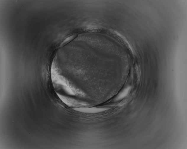 X0000086801348200705111827