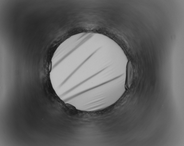 X0000086801349200705111827