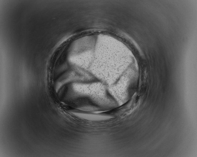 X0000086801352200705111827