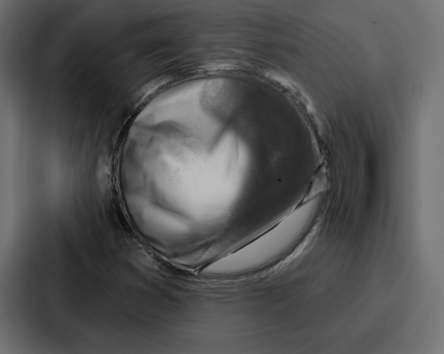 X0000086801353200705111827