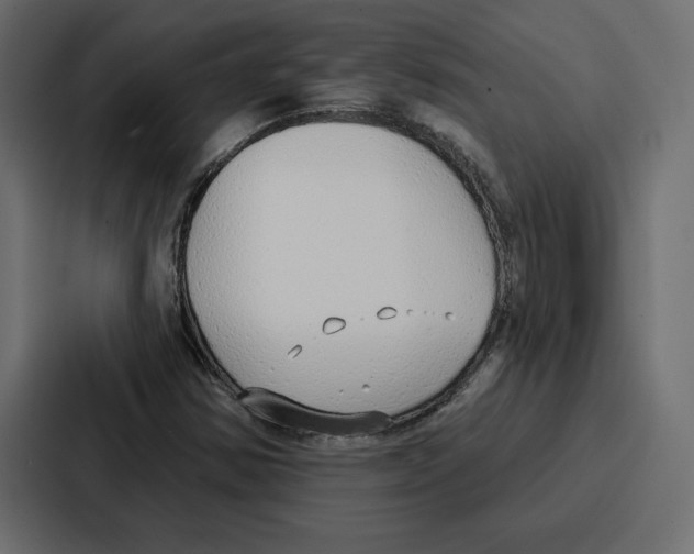 X0000086801354200705111827