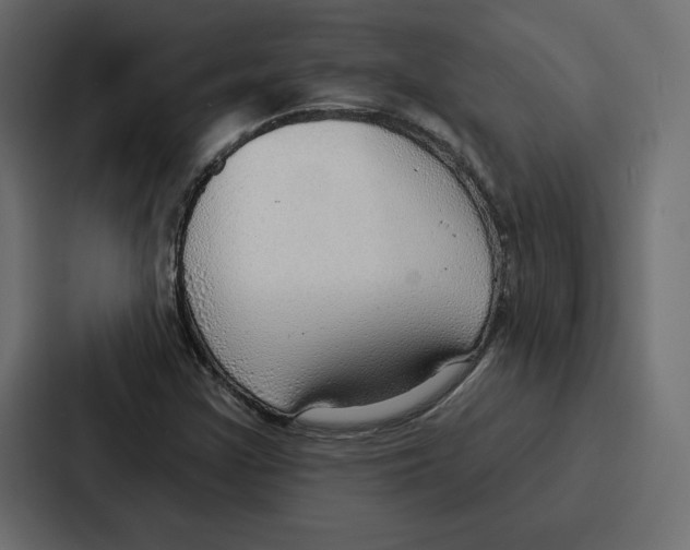 X0000086801355200705111827