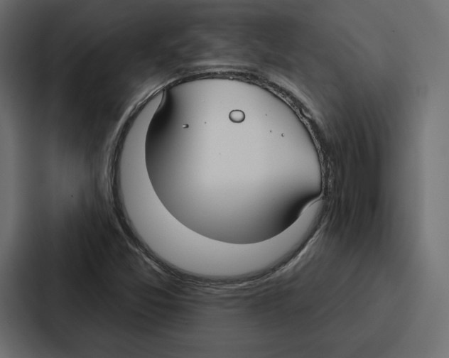 X0000086801357200705111827