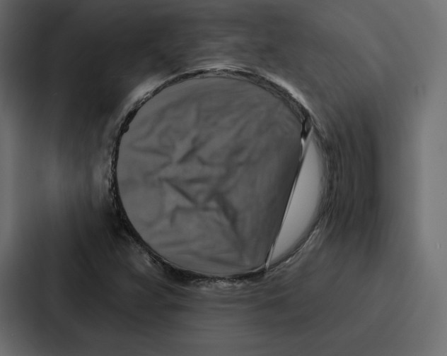 X0000086801359200705111827