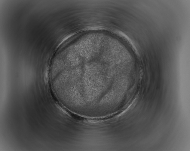 X0000086801361200705111827