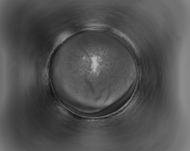 X0000086801362200705111827