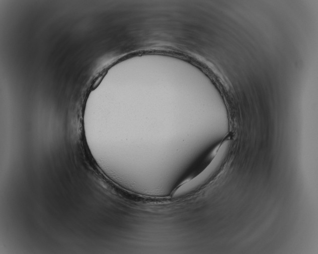 X0000086801363200705111827