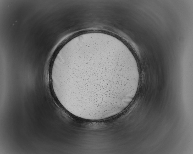 X0000086801368200705111827