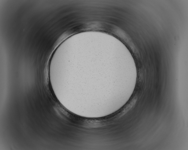 X0000086801370200705111827