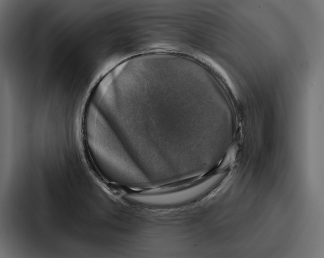 X0000086801373200705111827