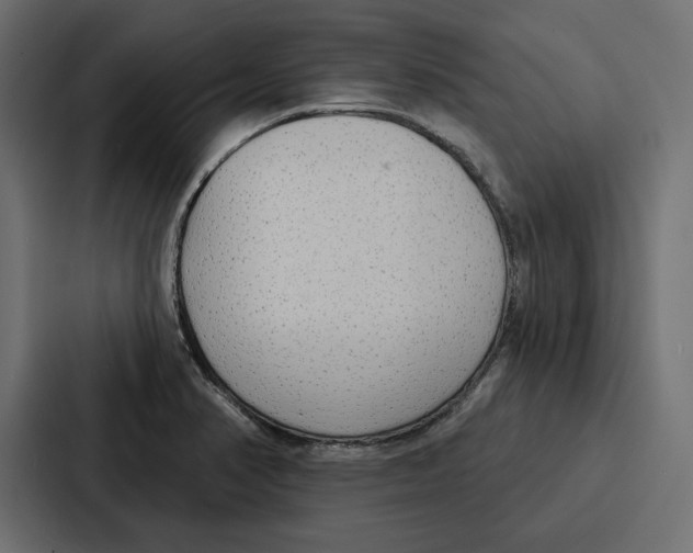 X0000086801374200705111827