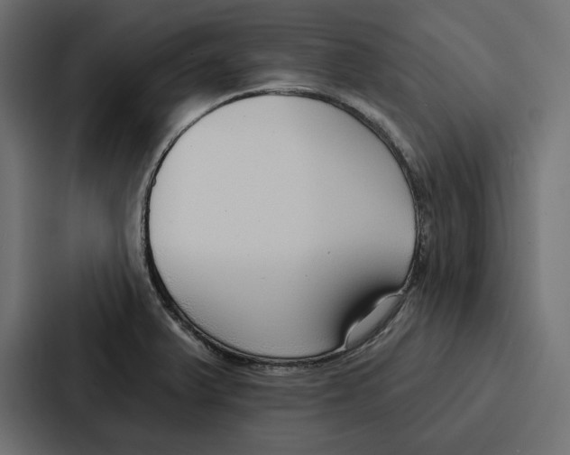 X0000086801375200705111827