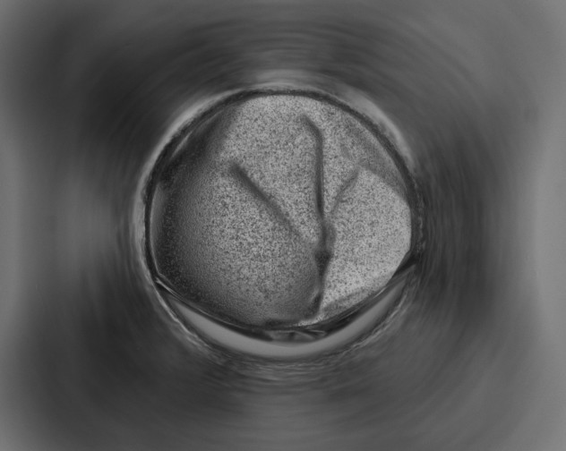 X0000086801376200705111827