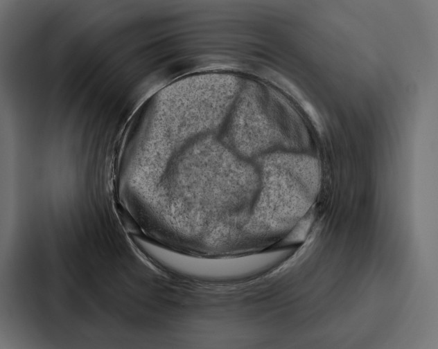 X0000086801377200705111826