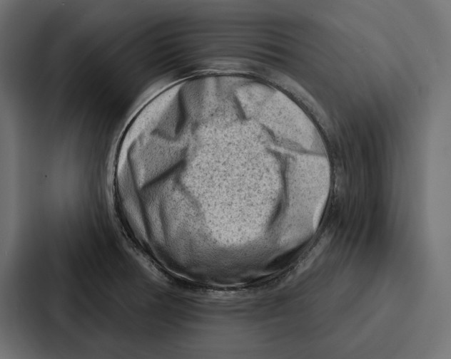 X0000086801378200705111826