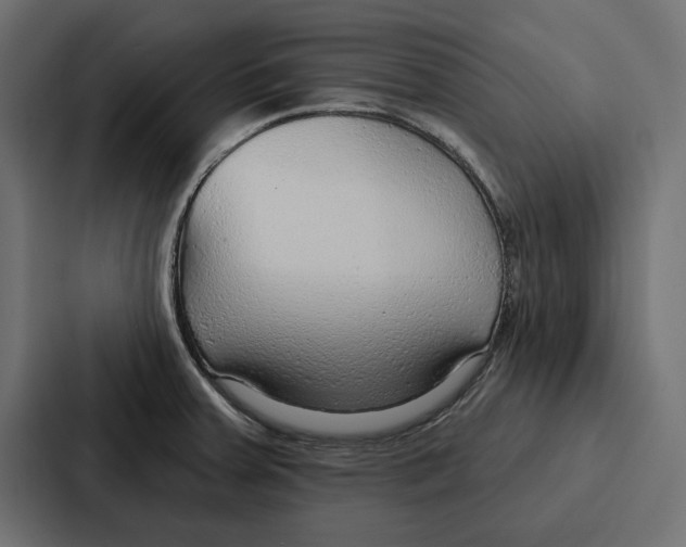 X0000086801379200705111826