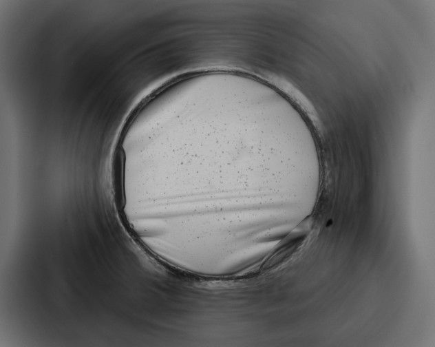 X0000086801380200705111826