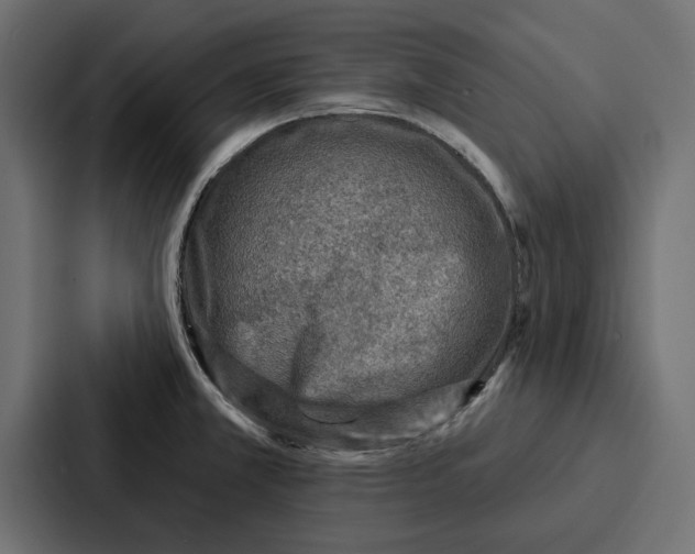 X0000086801381200705111826