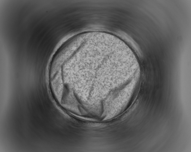 X0000086801382200705111826