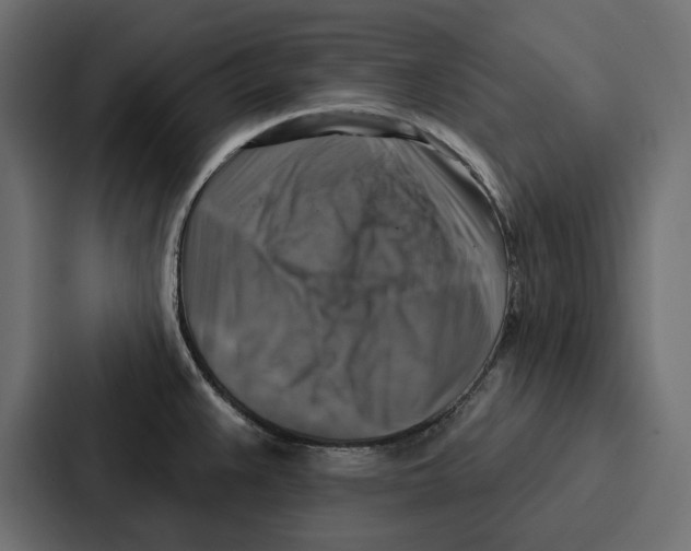 X0000086801383200705111826