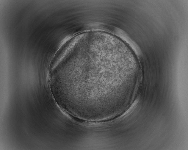 X0000086801385200705111826